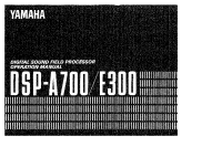 Yamaha DSPA-700 - Owners Manual 